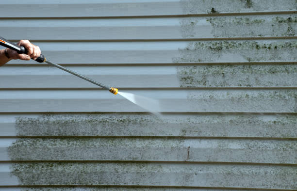 Best Driveway Pressure Washing  in Middleburg, PA